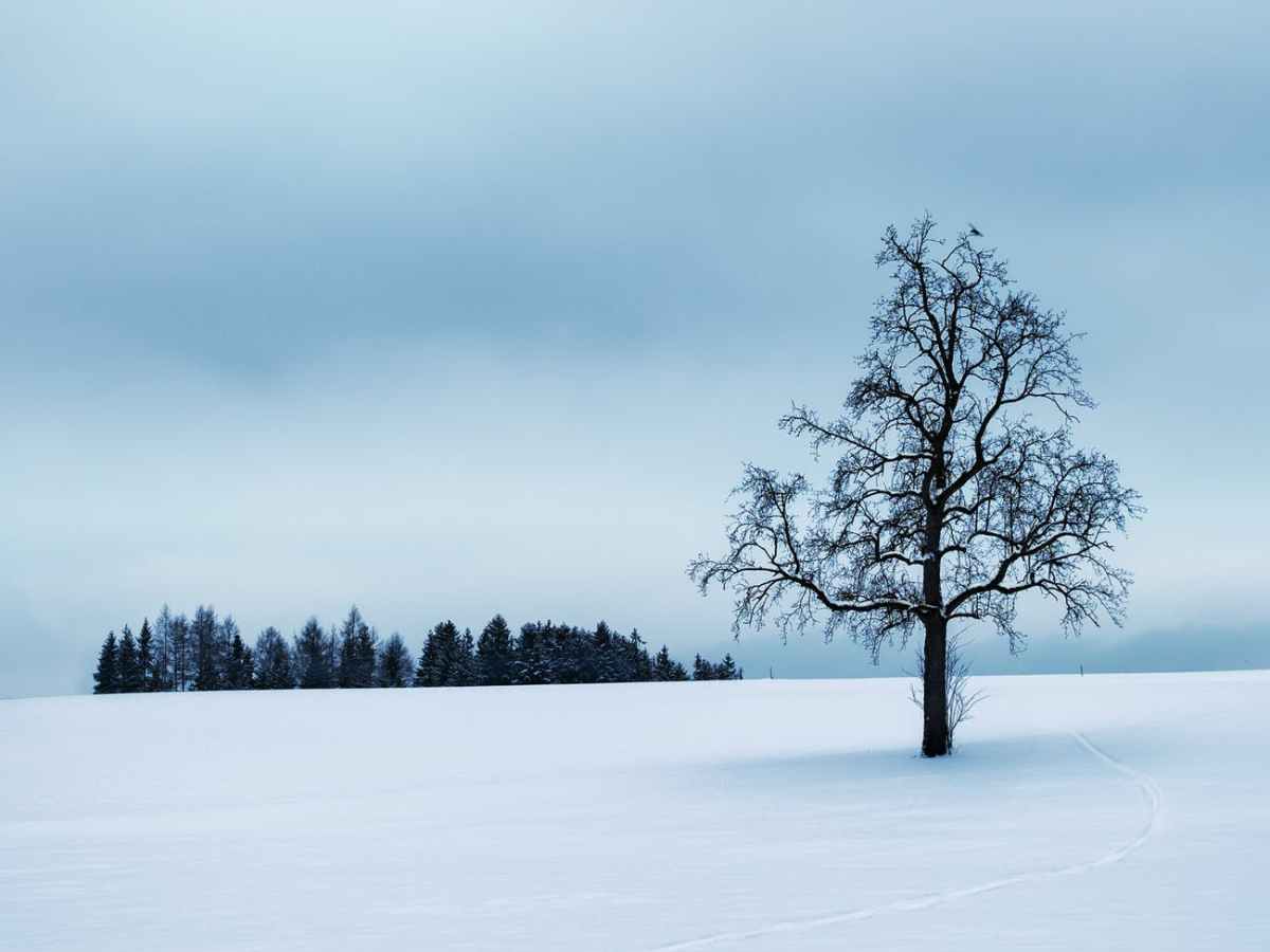 End of Winter | Rachel McKimmy